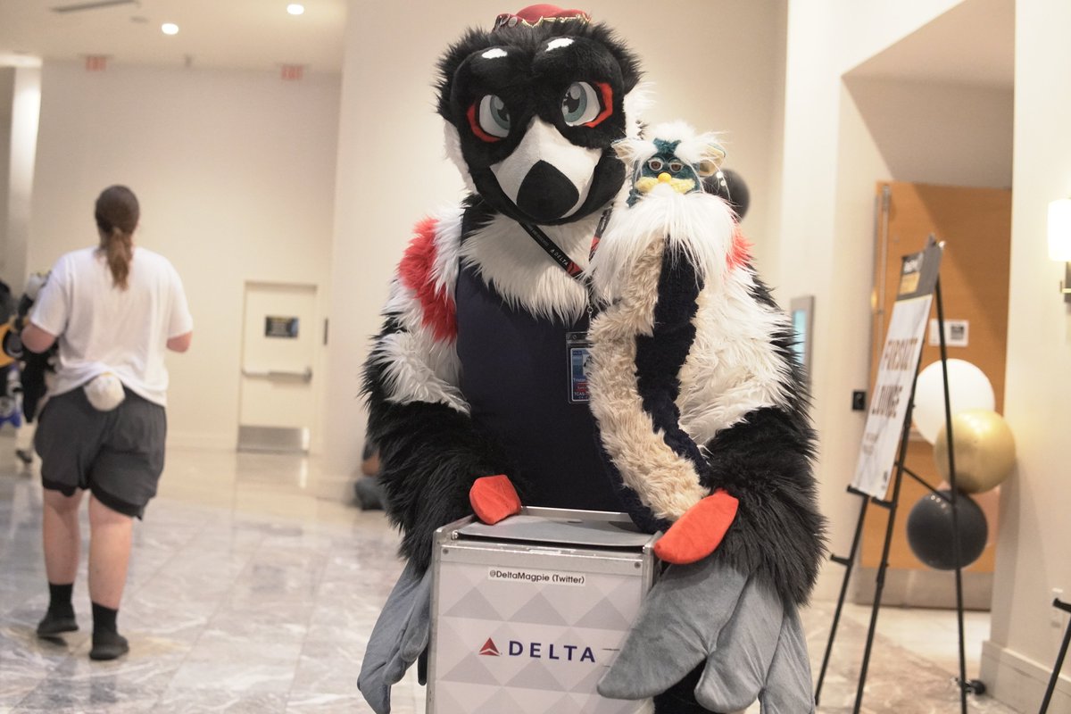 TheFoodMan52's tweet photo. Coiled @DeltaMagpie in Furby DA LOOONG WAY at #FWA25 https://t.co/IJ24hp4IO4