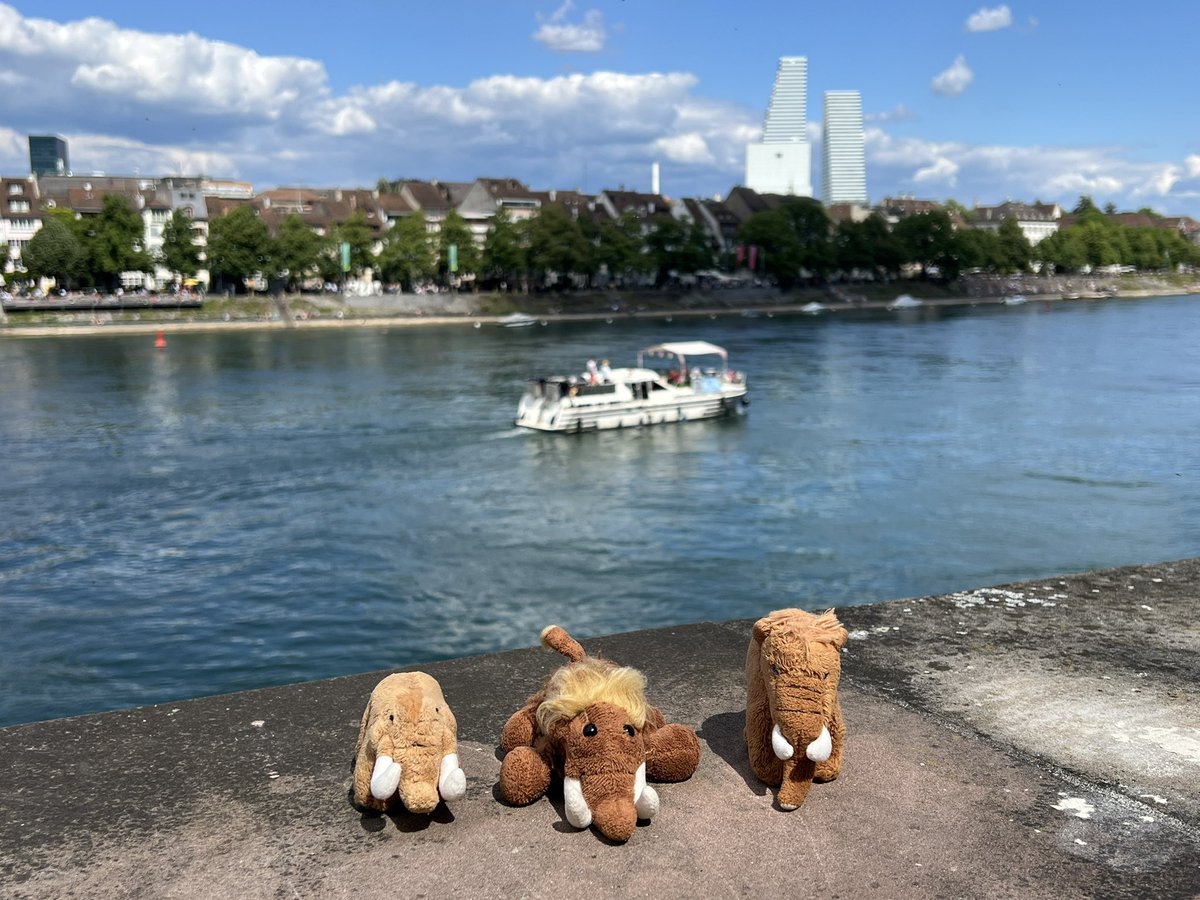 Wir sind noch ein wenig durch Basel gelaufen. Die Stadt ist vor dem Finale des ESC ganz schön voll.