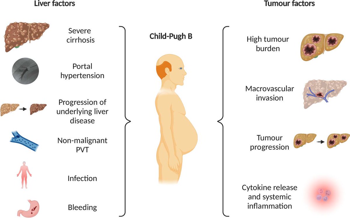 Gut Journal tweet media