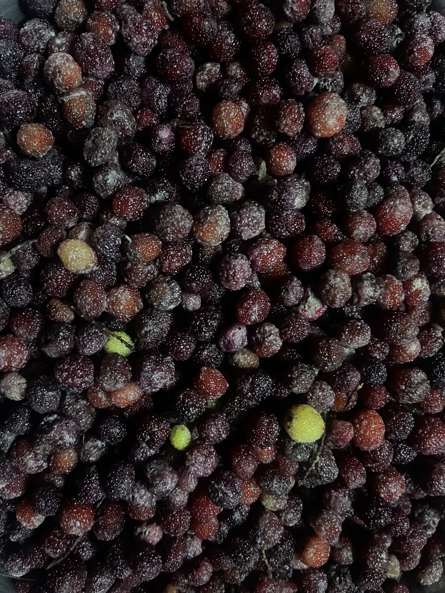 दैलेखी काफल।
#जयपशुपतिनाथ