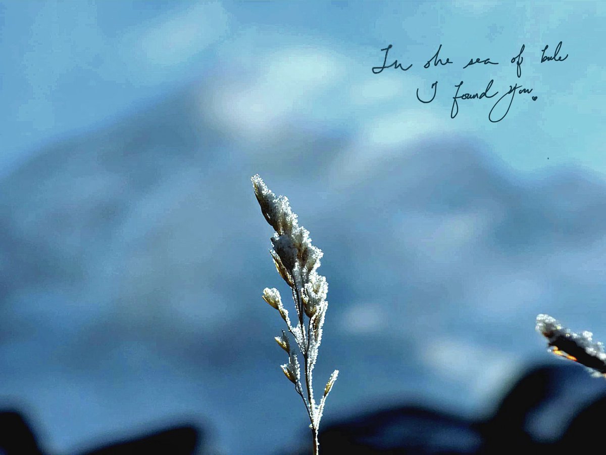 Bellatrix.v6 (@flyawaysense) on Twitter photo 