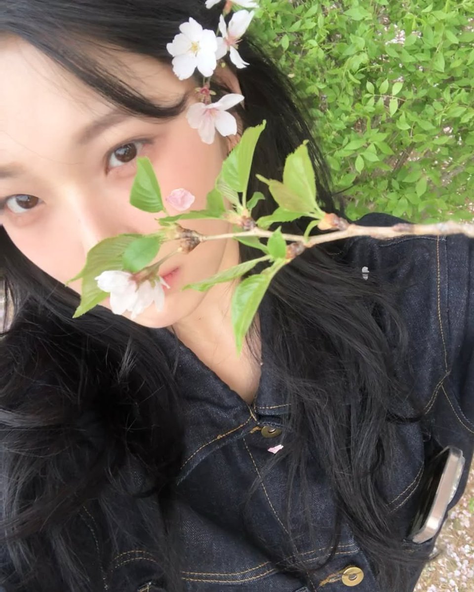 jiaheon's tweet photo. Spring whispers through blooming meadows, where petals unfold like secrets kissed by sunlight, and every breeze carries the scent of renewal. https://t.co/2me0gacC5U