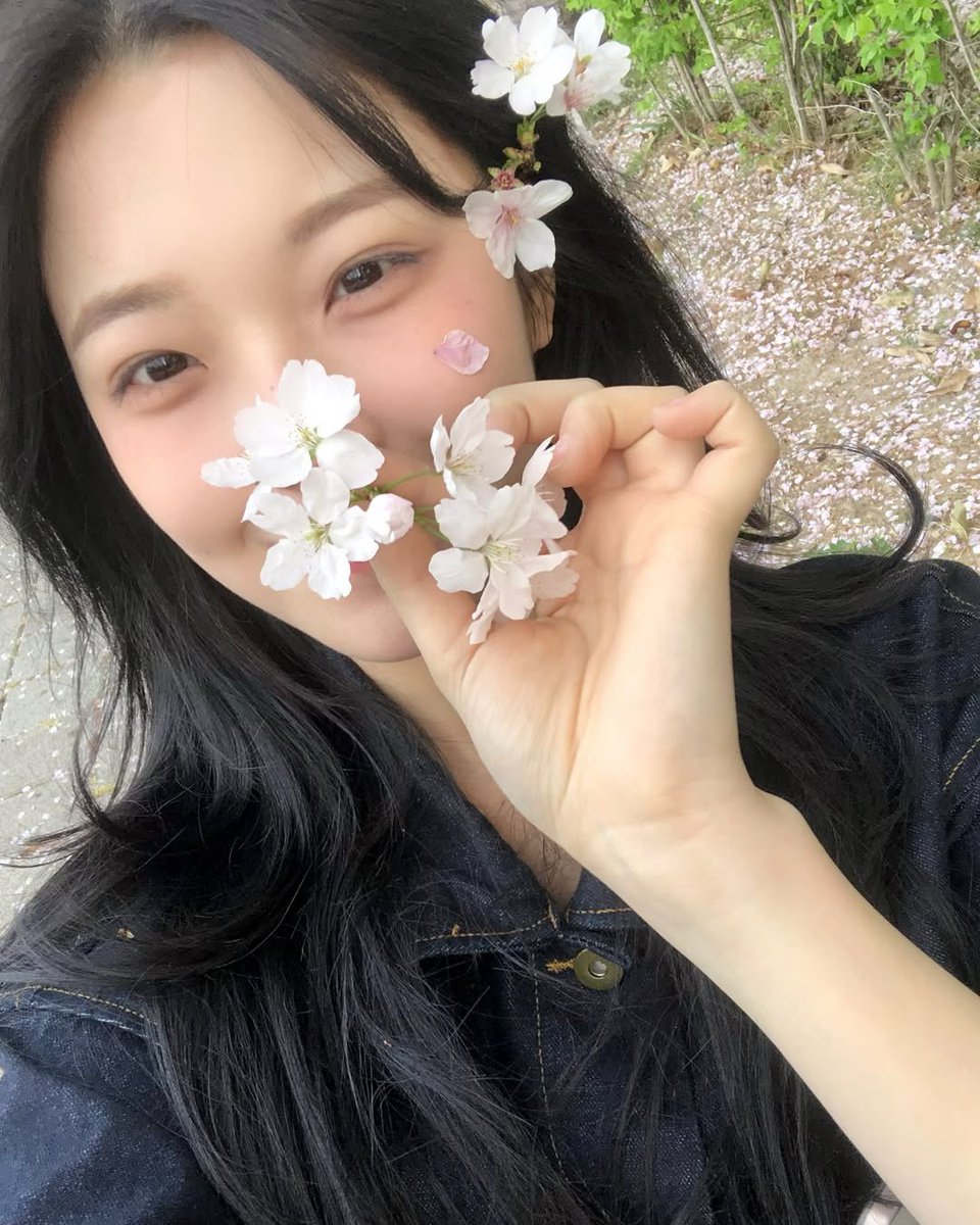 jiaheon's tweet photo. Spring whispers through blooming meadows, where petals unfold like secrets kissed by sunlight, and every breeze carries the scent of renewal. https://t.co/2me0gacC5U