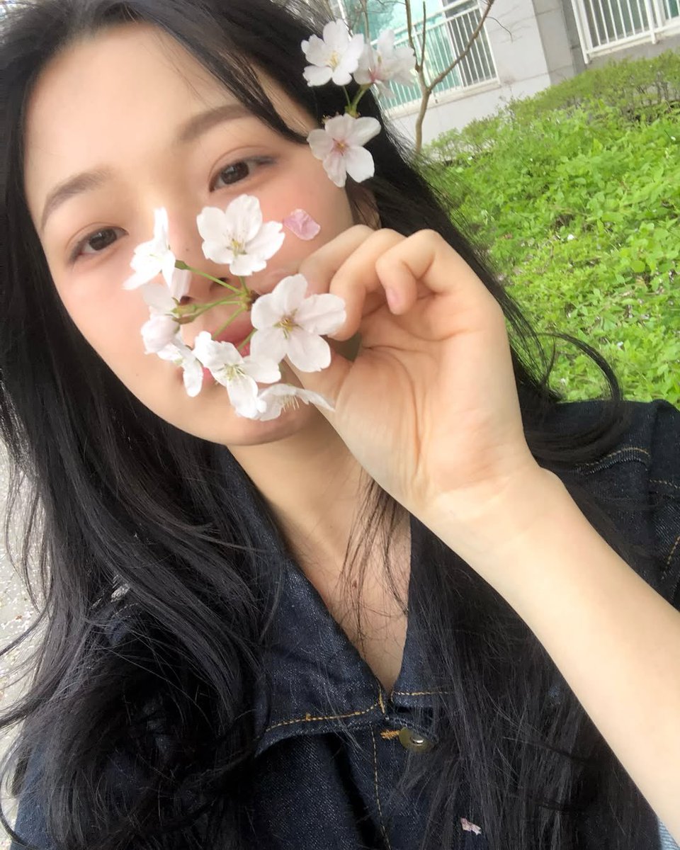 jiaheon's tweet photo. Spring whispers through blooming meadows, where petals unfold like secrets kissed by sunlight, and every breeze carries the scent of renewal. https://t.co/2me0gacC5U
