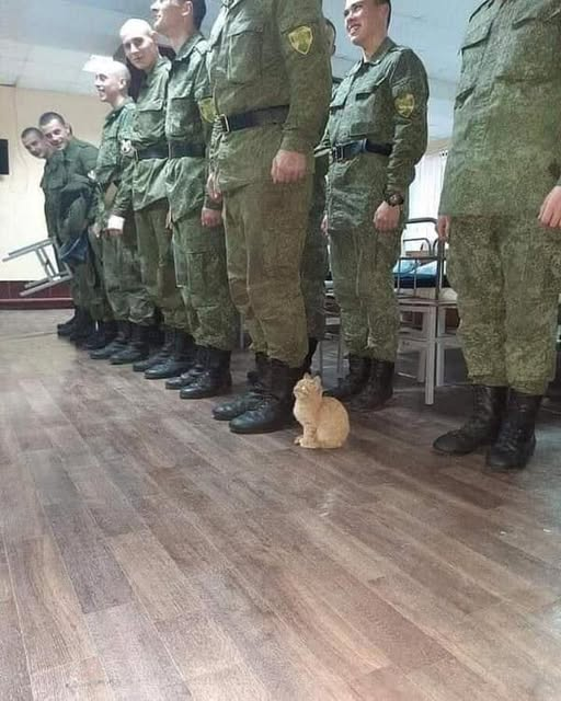 Recruta bigode se apresentando.