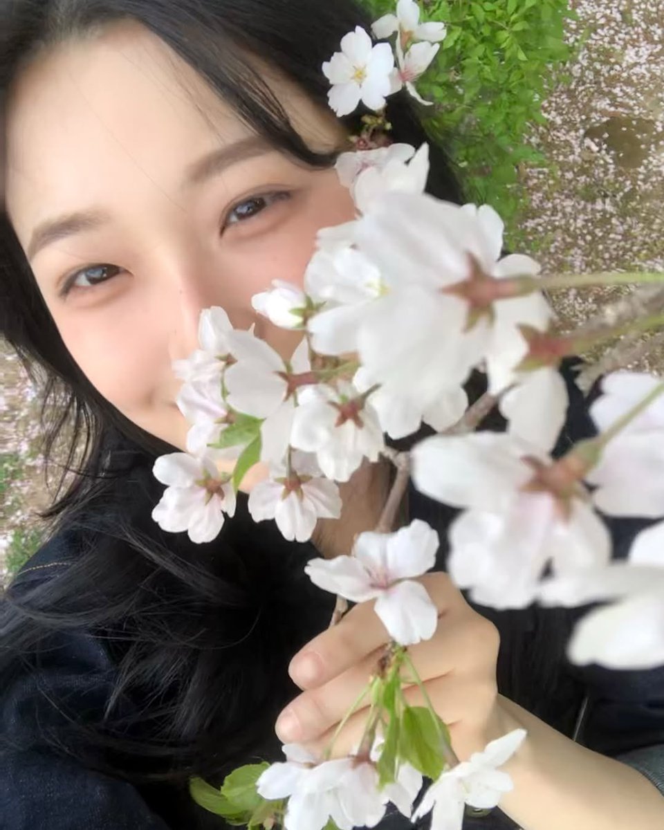 jiaheon's tweet photo. A close-up shot of wildflowers in full bloom, with bees fluttering around, dappled sunlight filtering through green leaves, and a soft-focus background of rolling hills. https://t.co/9i0vfLCScq