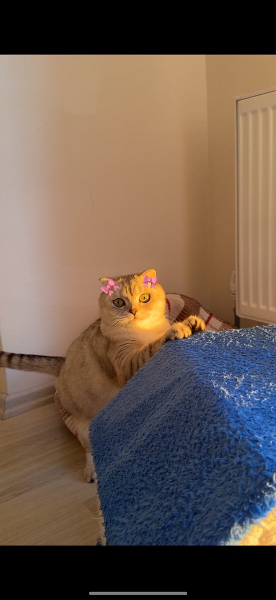 aferin kızıma 💅🏻😚