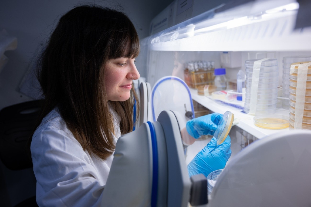 🔬Esta semana se ha inaugurado la nueva sede del <a href="/iplacsic/">IPLA</a>, que cuenta con un total de 22 laboratorios para el trabajo de sus grupos de investigación

➡️ Es un proyecto de futuro para la ciencia de los alimentos y la salud

¿Conoces la investigación que realiza este instituto? 👇