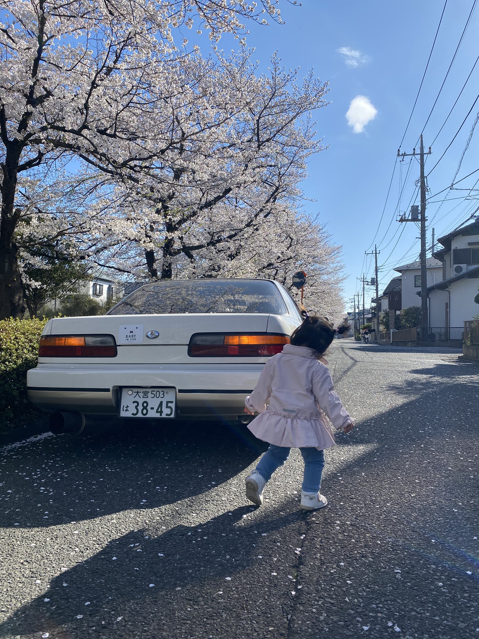 momose MC-OSAKAZAKURA'25/E Canal Deep BLU-VGR 【サウンド