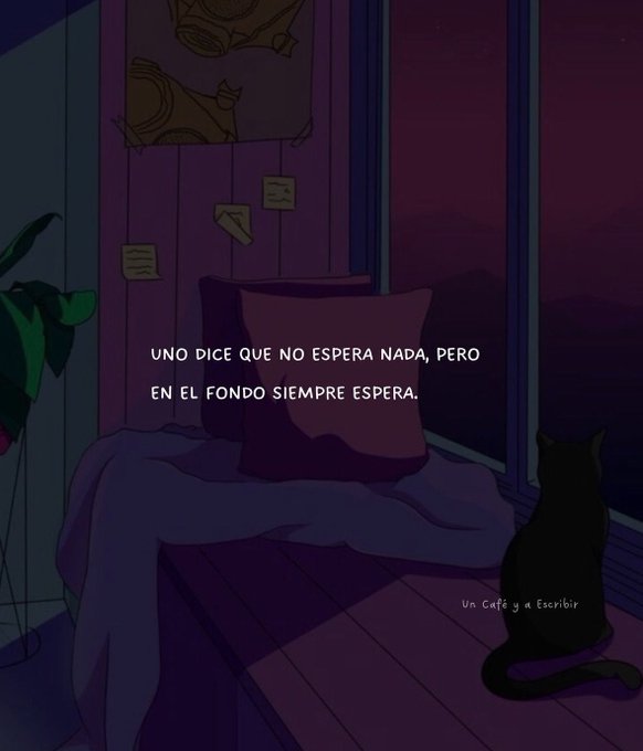 vibes (@vibesfyp) on Twitter photo 