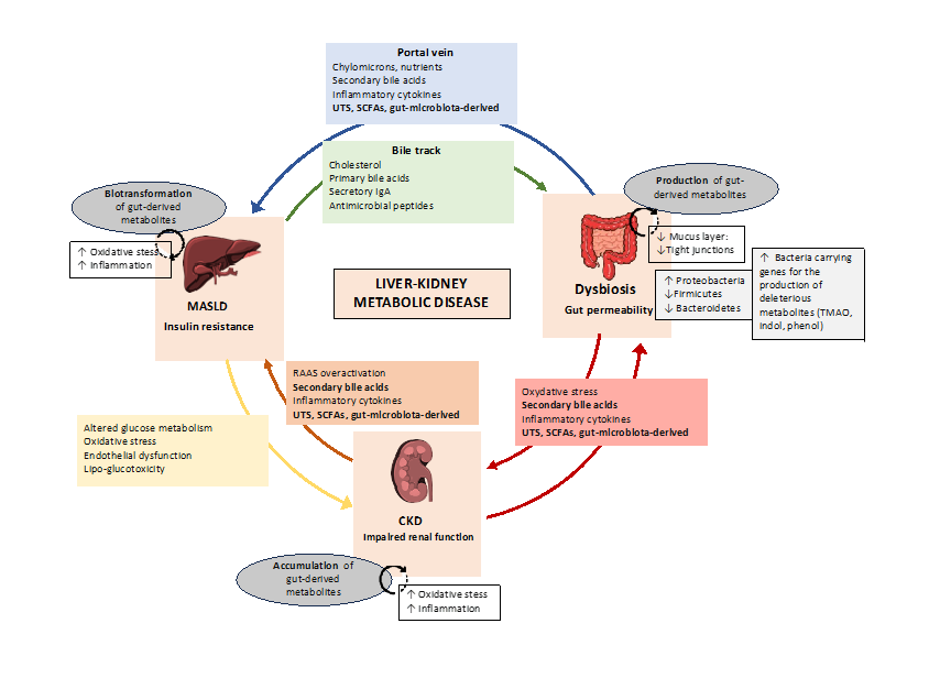ASN Publications tweet media