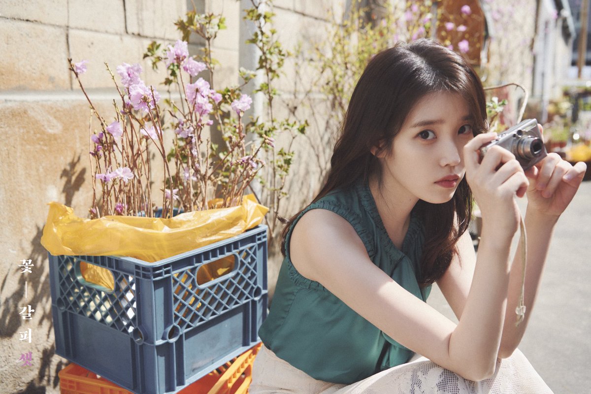 IU 꽃 - 갈피들　花しおり2 IU 꽃 - 갈피들 花しおり2