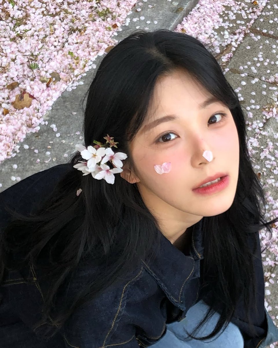 jiaheon's tweet photo. Petal by petal, the cherry blossoms fall — a silent snow of spring, drifting like memories through the wind. https://t.co/bUcTrIxpDo
