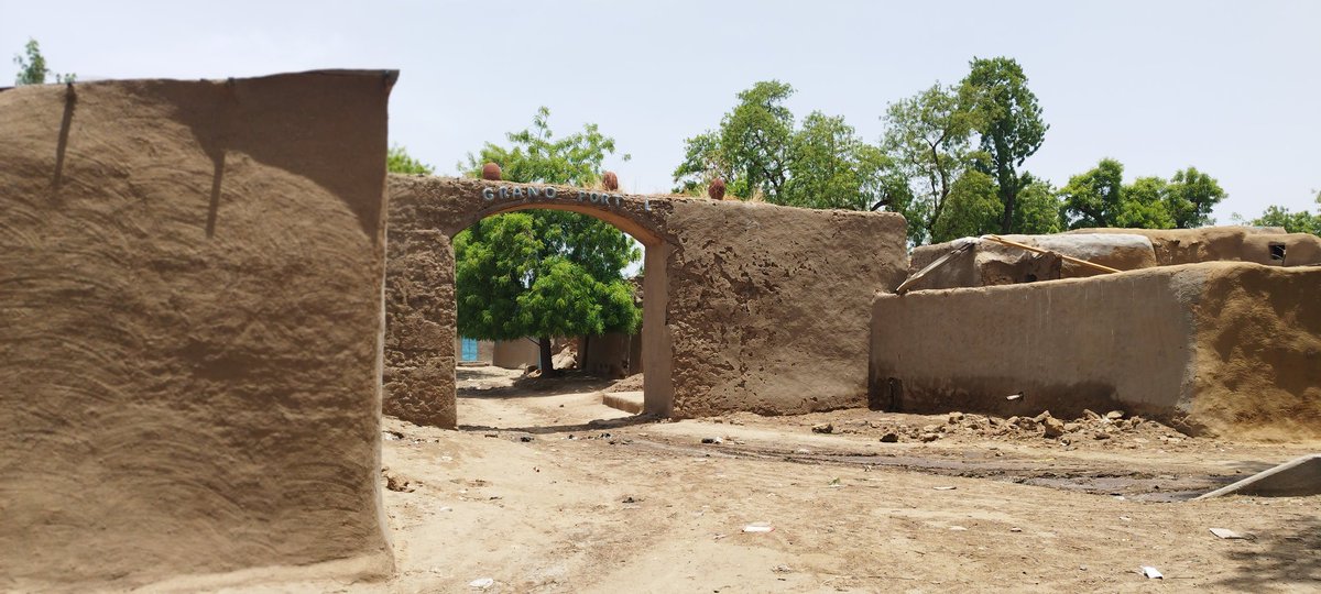 Bergeline DOMOU tweet media