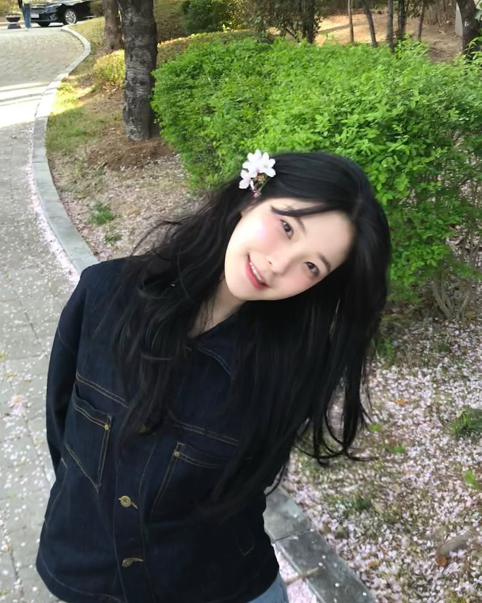 jiaheon's tweet photo. A quiet path beneath cherry trees, where the air is soft with pink petals floating down like delicate confetti. The ground is carpeted in blossoms, and every breeze sends a graceful flurry spinning through the air. https://t.co/ydCQOtkWIc