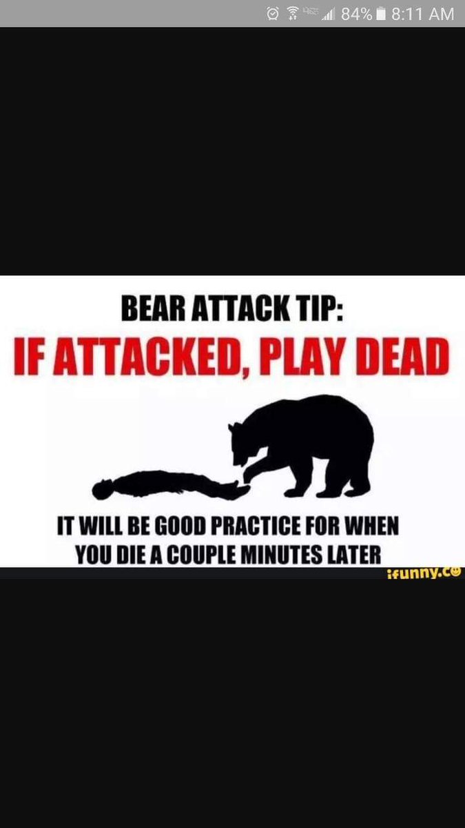 WGATMEANRADIO's tweet photo. 🤯🐻‍❄️‼️🐻🤘☠️ #Bearessentials #saturdaymorning #weekendvibes #Bears #Wisdom https://t.co/vmsBYXTnFw