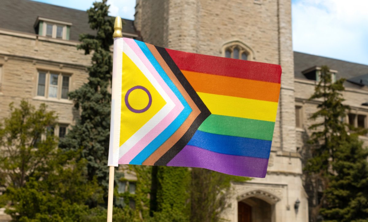 uofg's tweet image. Today we recognize the International Day Against Homophobia, Transphobia and Biphobia. It&apos;s a day to raise awareness about the ongoing violence and discrimination faced by the LGBTQ2SIA+ community. Learn more about how to be an ally: uoguel.ph/awdcg