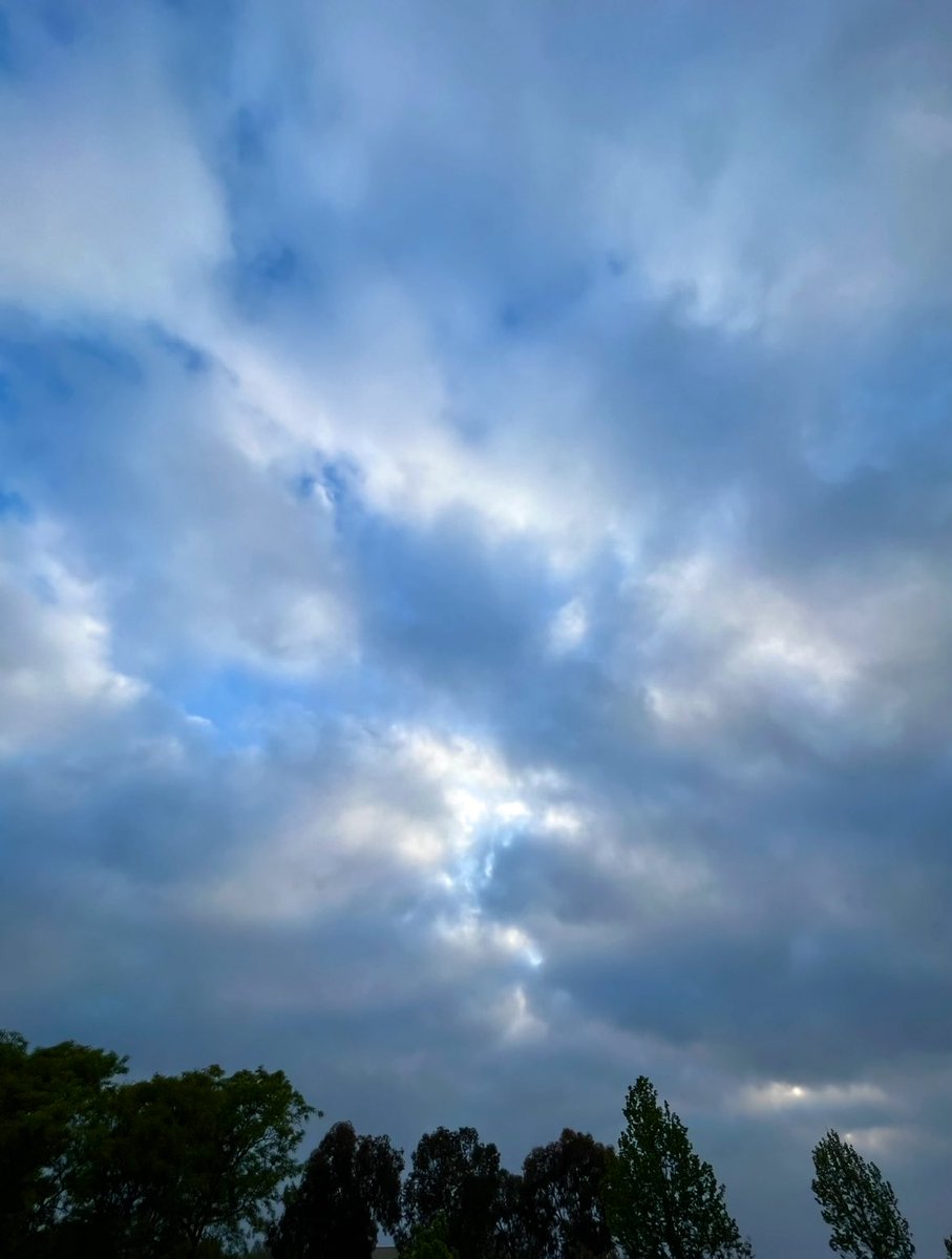 mlzema's tweet photo. Good Morning From #SoCal!🌞
#SaturdayMorning #Sunrise #Spring #Sky #SkyPhotography #May #MayGray #MayGrey https://t.co/a30MclsKAr