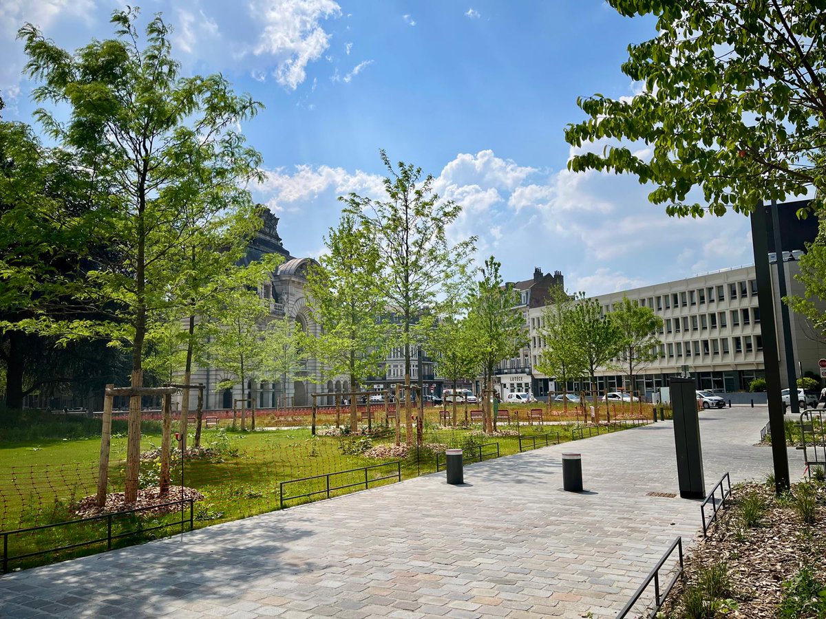 Lille actu tweet media