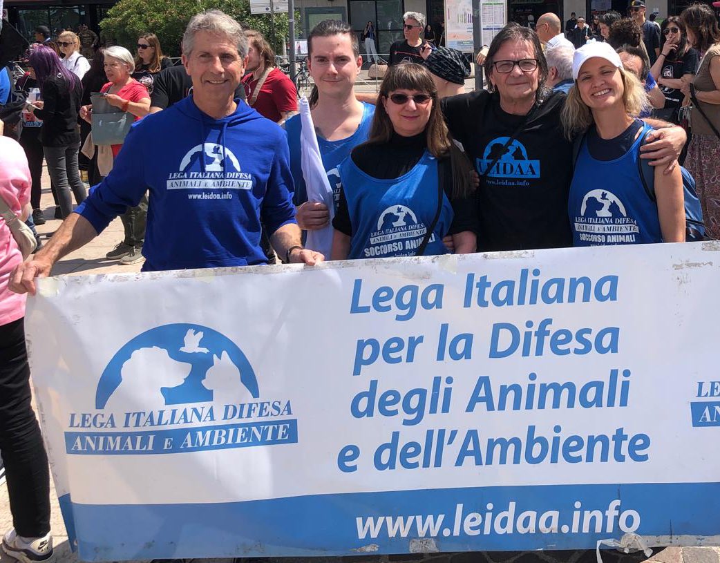 leidaa_italia's tweet photo. Una delegazione della nostra LEIDAA ha partecipato oggi alla manifestazione organizzata da Centopercentoanimalisti per salvare 1.600 #cuccioli dadestino di torture e sofferenze, sui tavoli di #vivisezione della #Aptuit di Verona. Basta atrocità! https://t.co/xvSubQB8xF