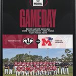 Photo by Beebe Badger Baseball (@beebebaseball)