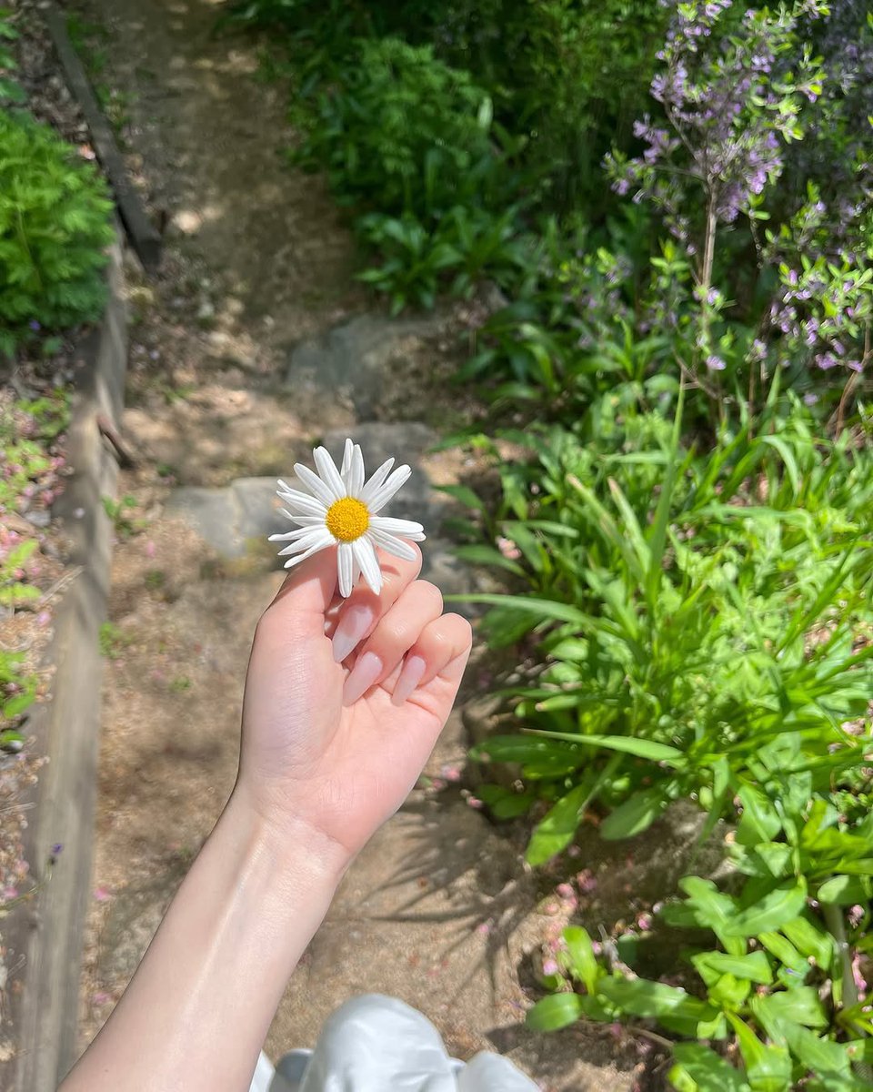 jiaheon's tweet photo. A serene spring park with tall green trees, soft grass, and wildflowers. A woman in a flowing white dress walks through the scene, sunlight filtering through leaves, with gentle wind lifting her hair and skirt. https://t.co/sMCRy1vV2K
