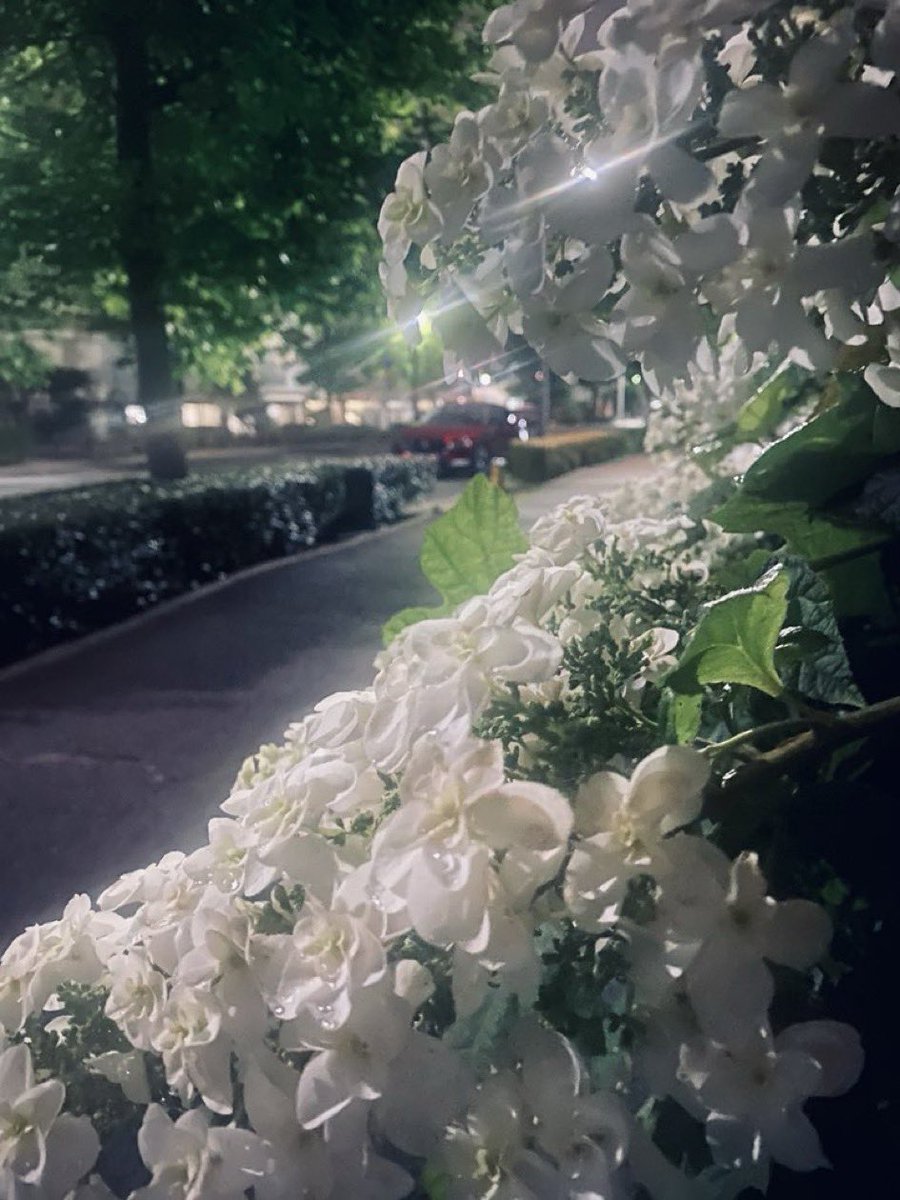 MiotMazda3's tweet image. この季節に出かけると
つい帰りが
遅くなるんだよなぁ〜😎

って、おい‼️
オレちゃうやんけ💢

(Mazda3談)

ﾄｵｸﾃﾓ ﾒﾀﾞﾂ
ﾆｸｲﾔﾂｯｼｮ⁈😏

#kobemazdaphoto 
#km2025spring
#mazdagram 
#kobemazdagram 
#マツダグラム 
#神戸マツダグラム