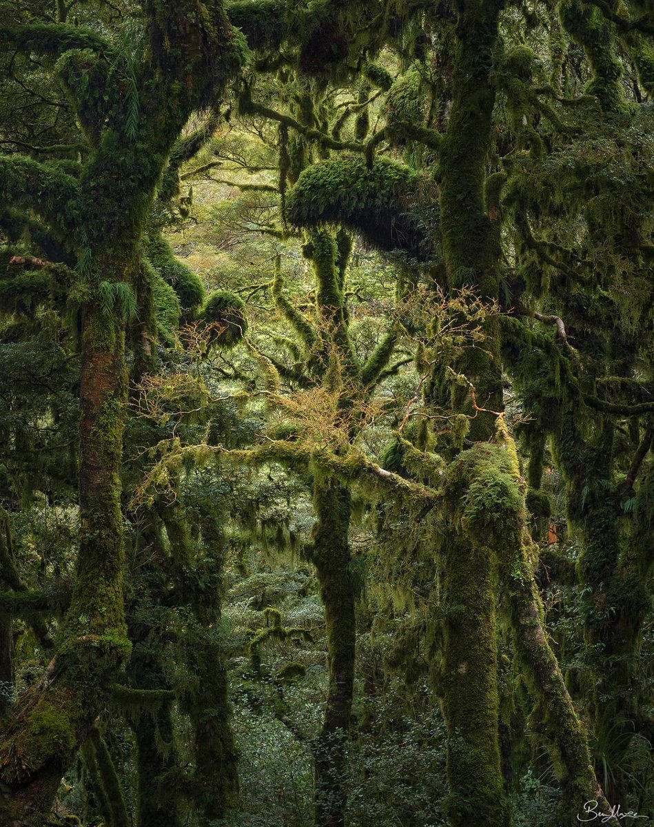 𓍊˖ ࣪⊹ tweet media