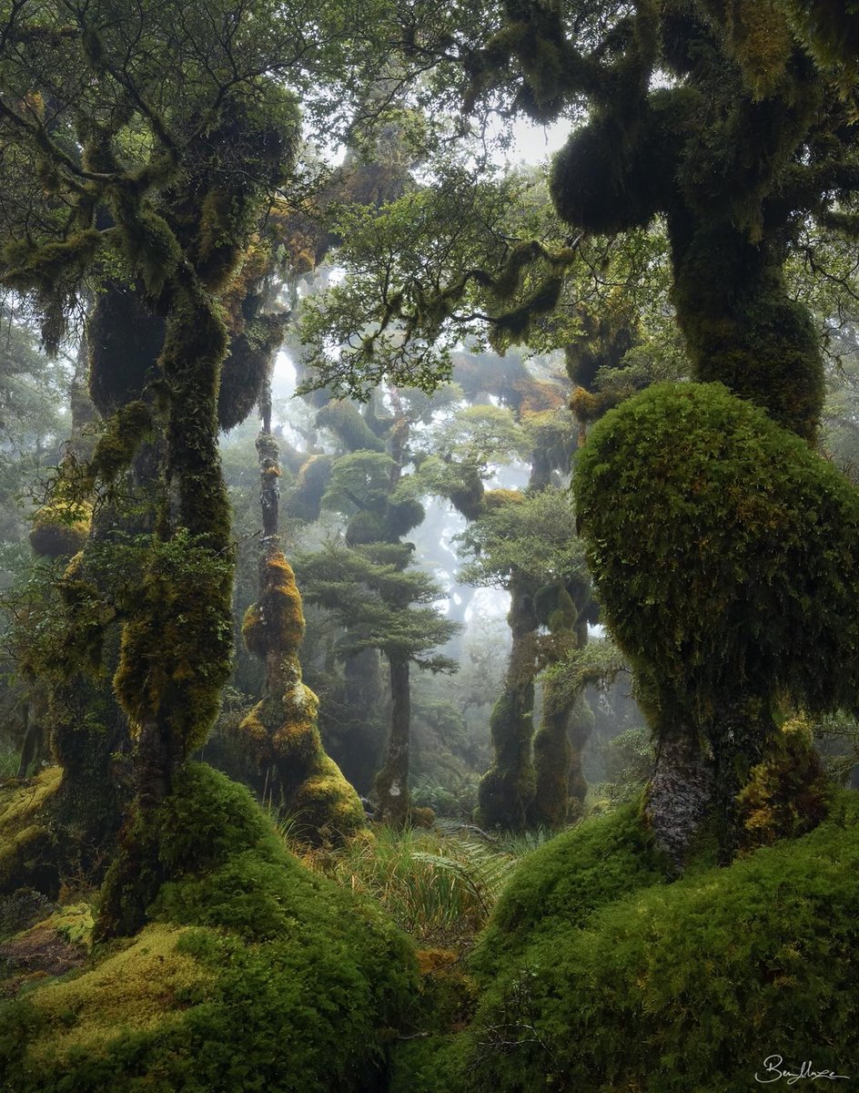 𓍊˖ ࣪⊹ tweet media