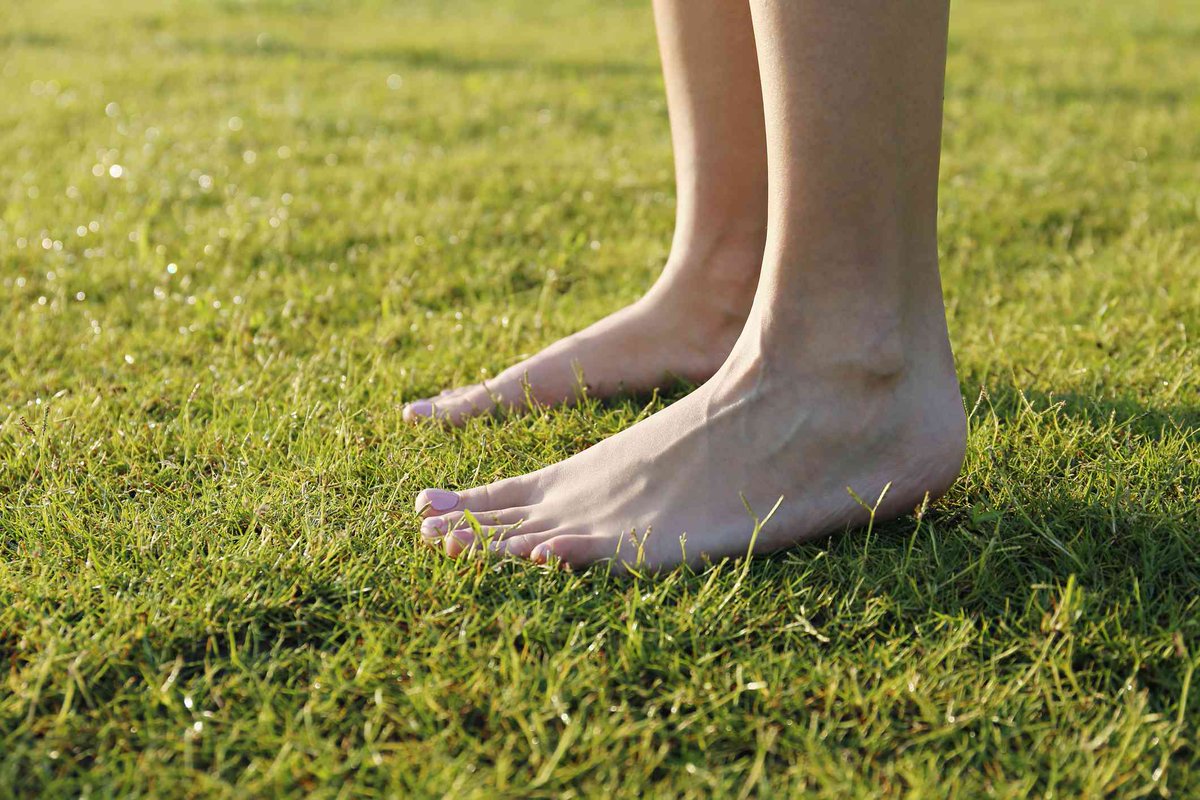 CraigBrockie's tweet photo. Grounding is the most powerful &amp; life-changing therapy straight from the Earth.

It’s 100% natural, non-invasive, therapeutic, and completely FREE.

No pills, no gimmicks. Based on scientific studies.

If you’re not grounding yet, you’re robbing your mind &amp; body. Here’s why: 🧵 https://t.co/kvMpgjlTSt