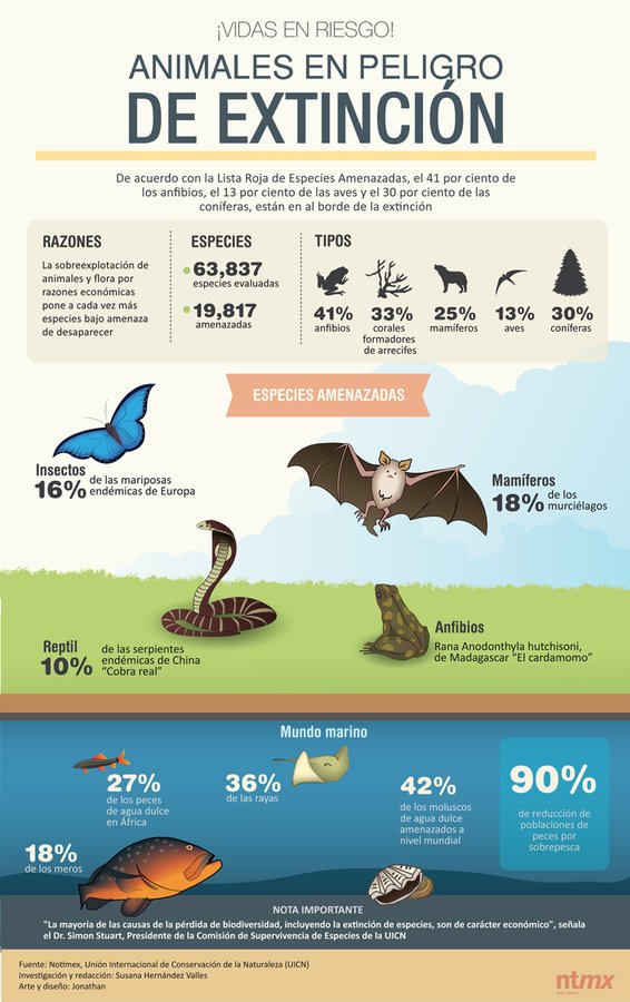 NaturaGto's tweet photo. #Efemérides #Conservación #Mayo #DíaDeLasEspeciesAmenazadas #EndangeredSpeciesDay: ¿#SabiasQue el tercer viernes de mayo se conmemora el #DíaDeLasEspeciesEnPeligroDeExtinción? via #DiaInternacionalHoy: https://t.co/WQBu0yWGml #Infografía de #Notimex https://t.co/5scMzengIB