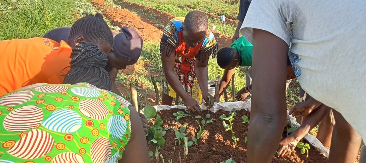 🌾 Today, GAHSO facilitated Smart Farming training for our Value Girls in Siaya County, followed by a VSLA session to boost financial literacy &amp; agribusiness skills. We're proud to empower girls with tools to grow food &amp; futures. 💪🌱 #ValueGirls #GAHSO #SmartFarming #VSLA
