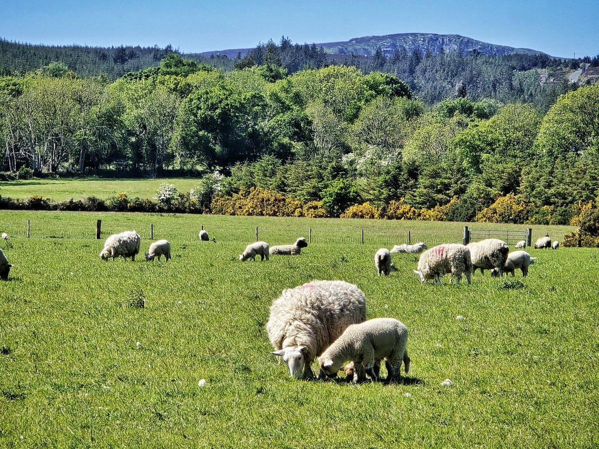 Mark_Hand tweet media