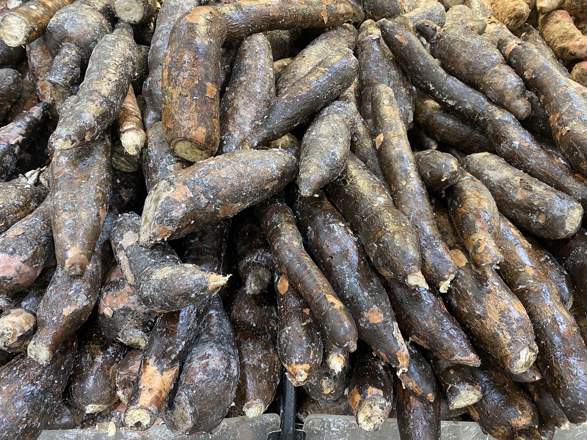 JuancitoPerezRD's tweet photo. Comprar Yuca en los supermercados es lo más parecido a Jugar un boleto de la Loto, a ver si aciertas. 🤦🏻‍♂️

Autoridad, Que Batalla @leninrd! https://t.co/sRgMYRzGH1