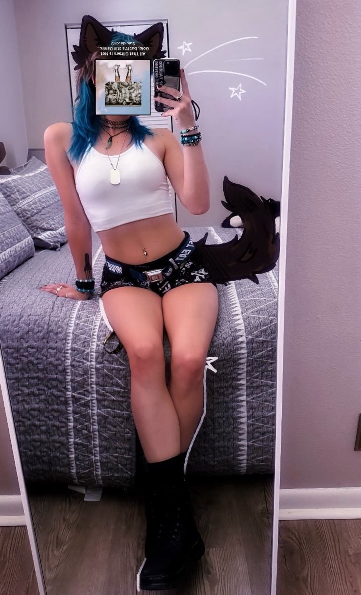 meowdy everykitty 🐱