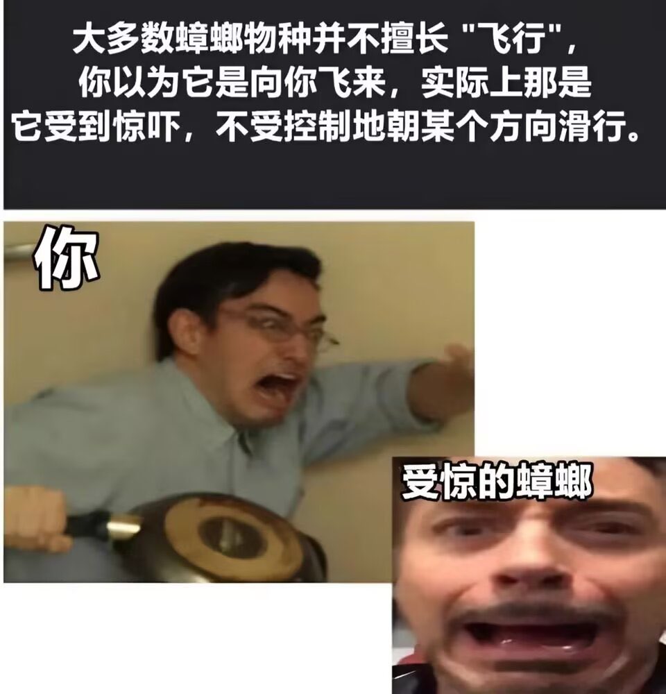 hatadanna's tweet photo. https://t.co/Qi6YzeOuUj