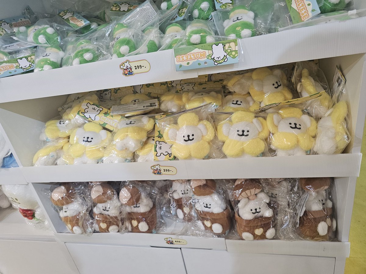 sunmerzone's tweet photo. ( รับหิ้ว ) thailand exclusive
🐶 ตุ๊กตา กล่องสุ่ม น้องหมา มัสทีส 🐾
🖇 ของจุ๊กจิ๊ก 10฿
🖇 ตุ๊กตา กล่องจุ่ม 20฿
พรุ่งนี้งานวันสุดท้ายแล้ว สอบถามได้ค่ะ รับถึงแค่เที่ยงหรือบ่ายพรุ่งนี้นะคะ🥺🙏🏻
📦 ค่าส่งตามจริง
#MalteseWorldTourTH #MaltesePopUpStore #malteseworld #ตลาดนัดตุ๊กตา https://t.co/Ey8RHk8Lmm
