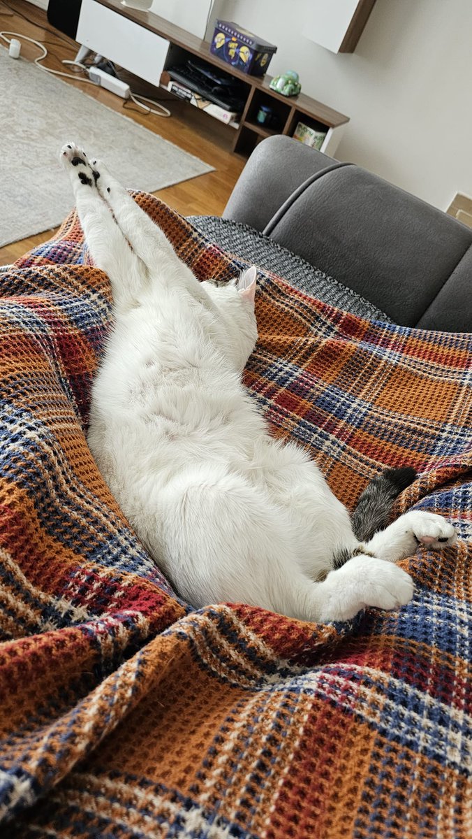 Nfttkipcisi's tweet image. @giverep&apos;e bakarken &apos;Bu rep benden! 🎉&apos; dedim ama sonra öğrendim ki rep vermek ücretsiz değilmiş 😂 Şimdi düşünüyorum: Rep mi toplasam, yoksa bütçeyi sarsmadan rep mi versem? 🤔 Sizce ne yapayım dostlar? #RepMaceraları #GiverepChallenge 💸