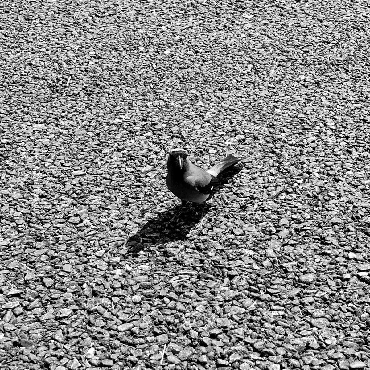 日常碎片 - 換氣 

天氣好熱🫠 還沒到最熱已經滿身汗