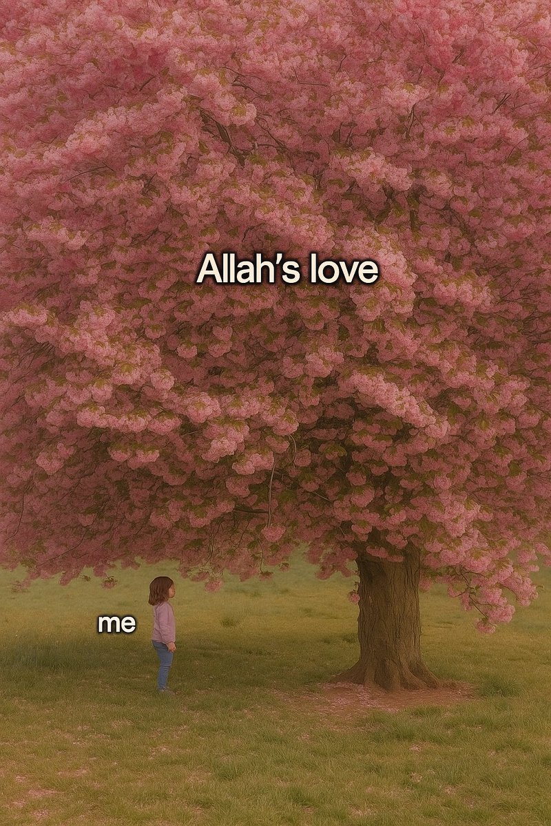 Oh beautiful soul, Allah love you