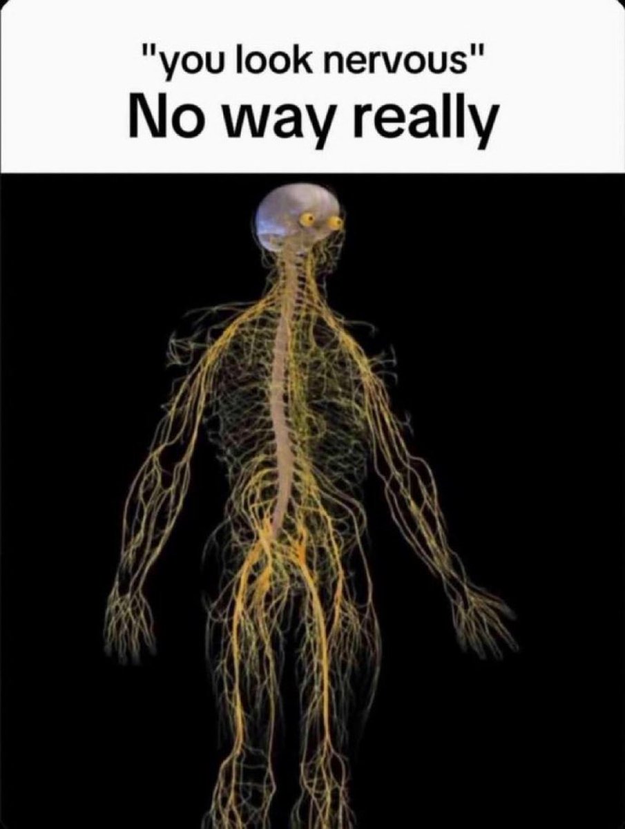 chaotic memes (@memechaotic) on Twitter photo 