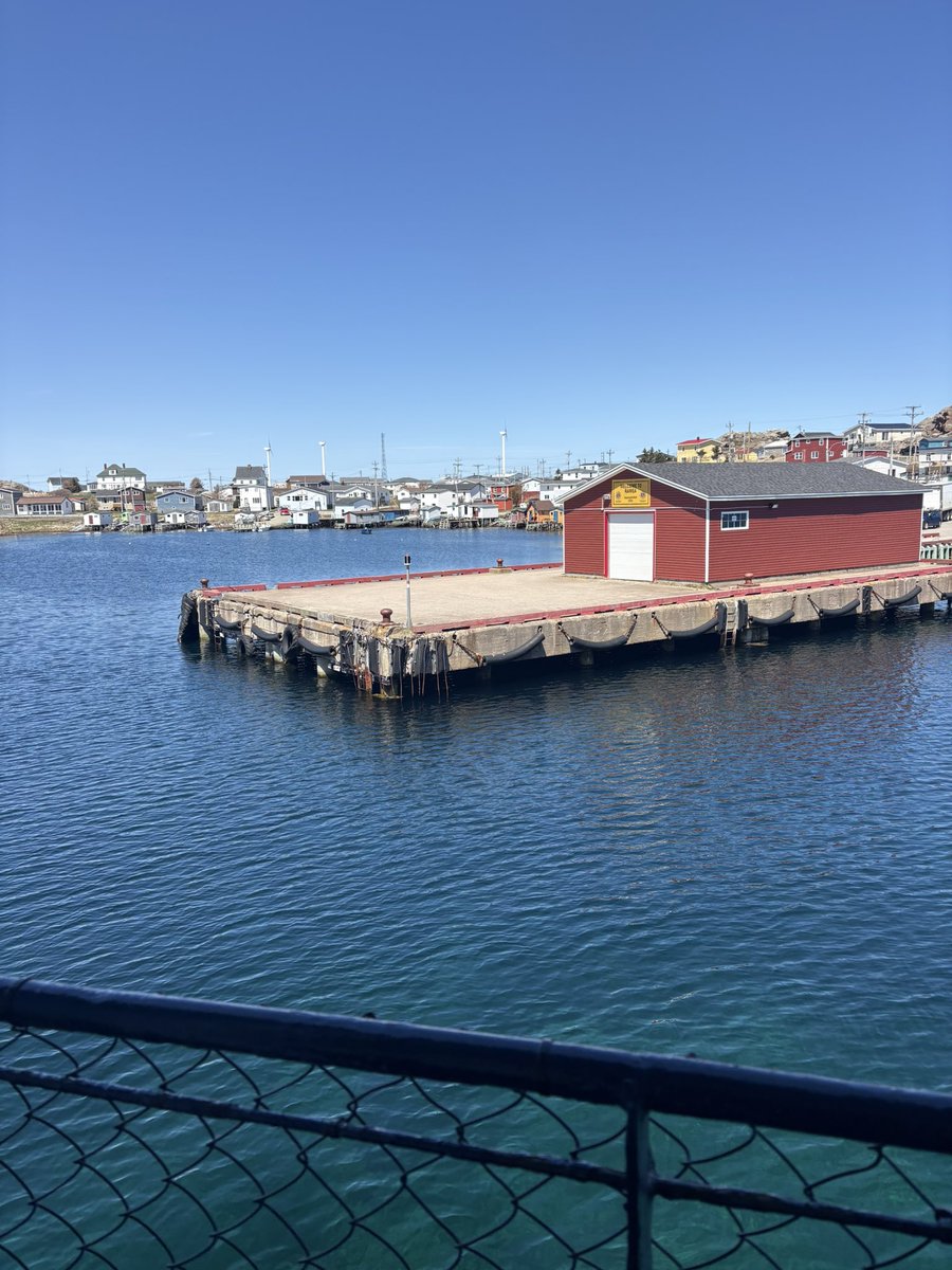 Cutis Cutler tweet media