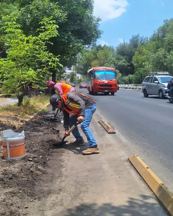 qfbalducin's tweet photo. En dónde @InfraPue no resuelve, mis reales, lo hacen.
Mantenimiento de la ciclovía de Prolongación Reforma.
Gracias a Anto, Jorge y Lalo.
Ccp. @PueblaAyto https://t.co/4Fgy9q7GY6