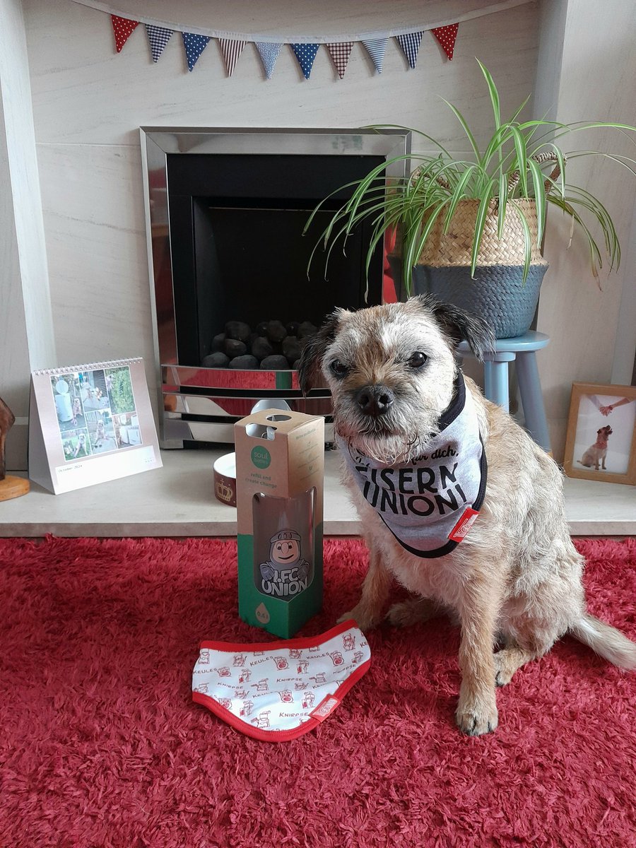 steelygreyste's tweet photo. @fcunion_en Well done #FCUnionBerlin , Heidi wishes you all the best. Rest up and see you next season #eisernberlin https://t.co/RZPy69kwtl