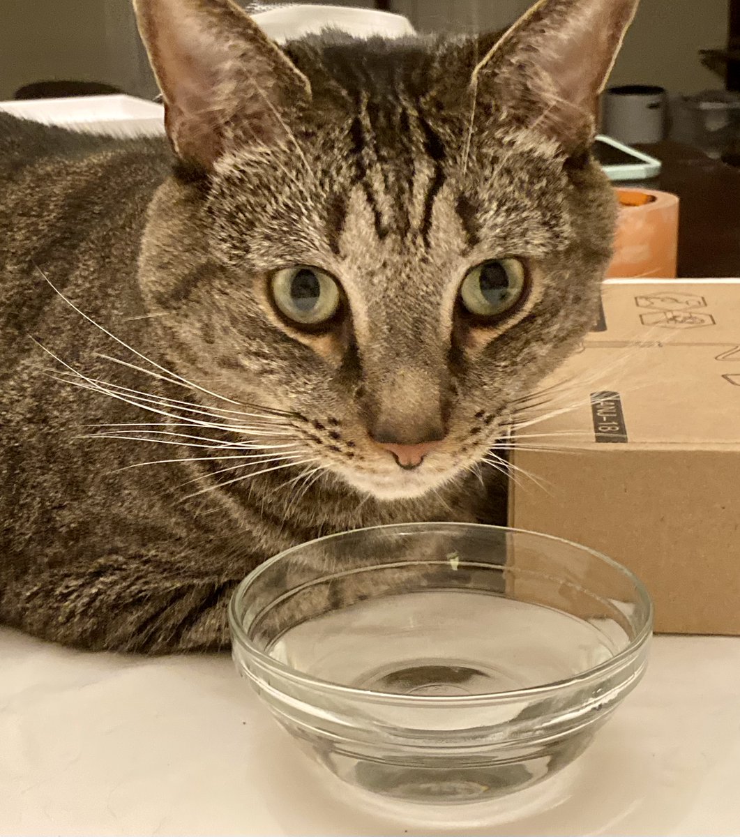 Sam helped me with the water test, and he would like to be recognized for his contribution.