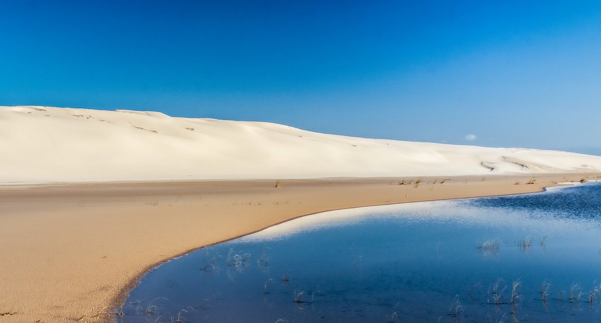 Lucas Morates tweet media