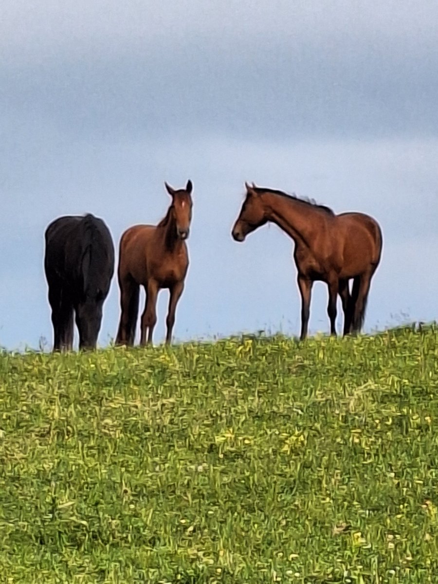 Today's morning view..