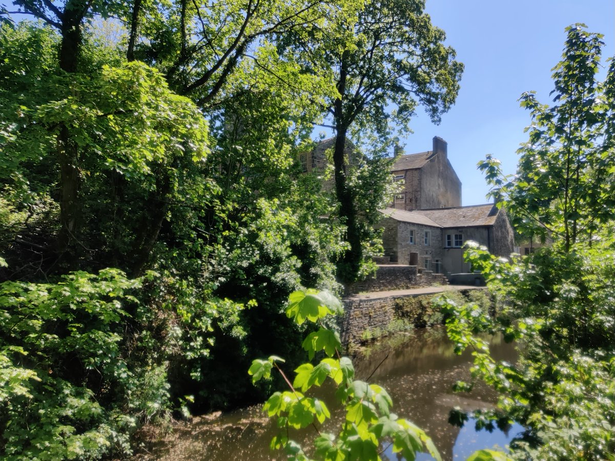 SKIPTON. Popped into @phoebesskipton, home of the best breakfast in Yorkshire (other meals are available), bought a sourdough loaf that was the size of a seal, then walked through Castle Woods, where I watched a daft dog and some comedy ducks. A great day and it's not even lunch.