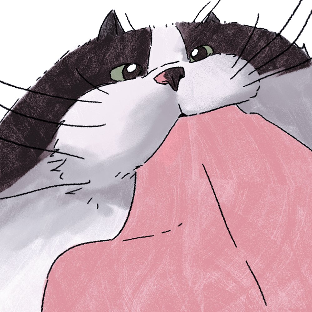 쁑🕯 (@2016_1010_) on Twitter photo 