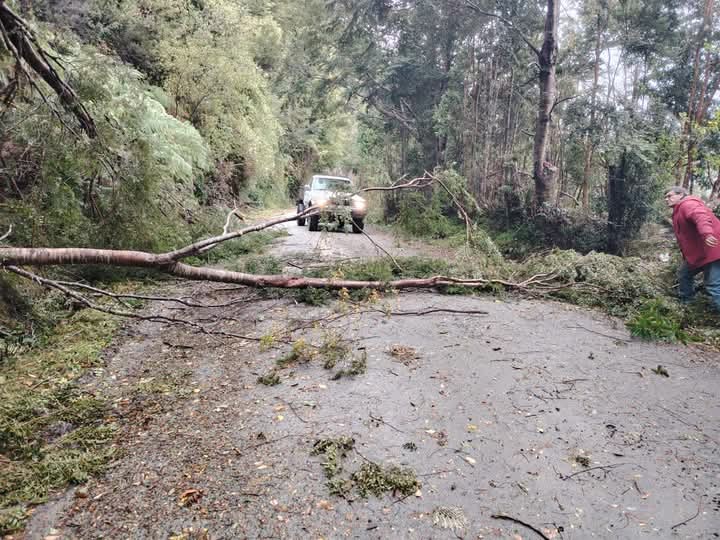 alegriagonzaa's tweet photo. 11:52 | 🚨🌧️ #Hualaihué Vecinos del sector de #Cholgo hacen despeje de árboles caidos debido al temporal.
@RedGeoChile @reddeemergencia @RNE_Alpha_8 @Sepulinares https://t.co/JJPimDouy1